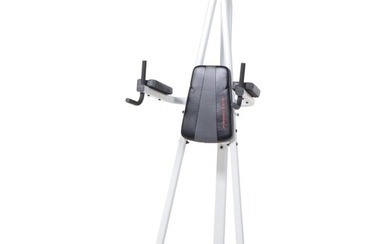 Fitness Gear Power Tower Exercise Equipment