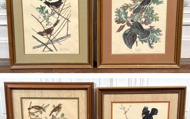 Four Ornithological Prints After Audubon