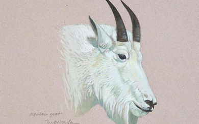 JUAN VARELA (Madrid 1950) "Mountain Goat". Gouache on tinted Canson paper Signed and titled "Mountain goat" Measurements: 27 x 31,5 cm. Exit: 275uros. (45.756 Ptas.)