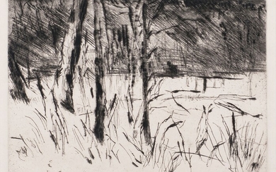 Lovis Corinth (Tapiau 1858 - Zandvoort 1925). Tiergarten in January.