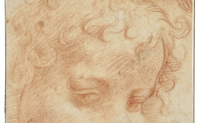 Michelangelo Anselmi (Lucca ca. 1492-1556 Parma), Head of a putto