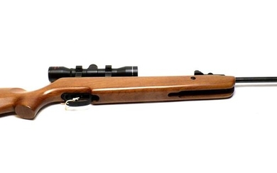 SMK19 air rifle with scope