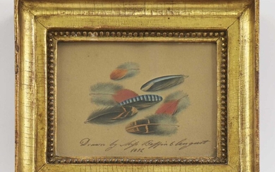 Sarah Biffin (1784-1850) Sarah Biffin (1784-1850) Étude de plumes portant l'inscription au stylo "Drawn by...