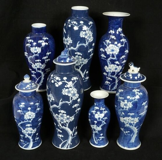 Seven Chinese Blue and White Decorated Vases