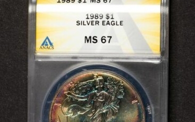 1989 Silver Eagle ANACS MS67 Wild toning