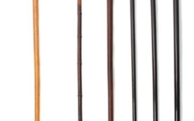 A Collection of Walking Sticks