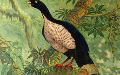 Hughes | Lord Derby's mountain pheasant, 1996, oil on canvas