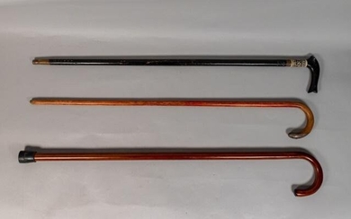 3 Wooden Canes