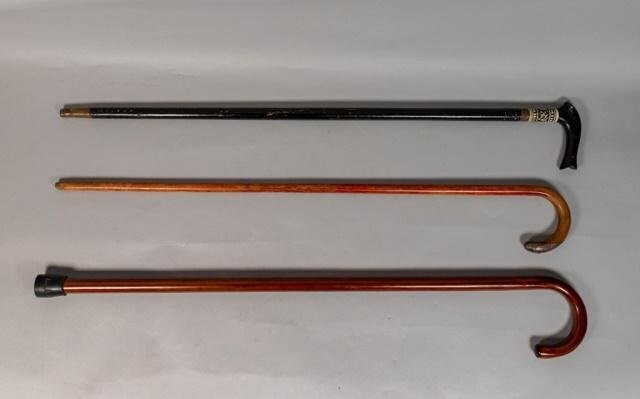 3 Wooden Canes