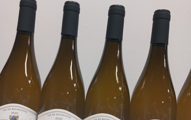 8 bouteilles de Bourgogne Blanc Chardonnay 2020 Domaine de la Tassé d'Or, Grand Vin de...