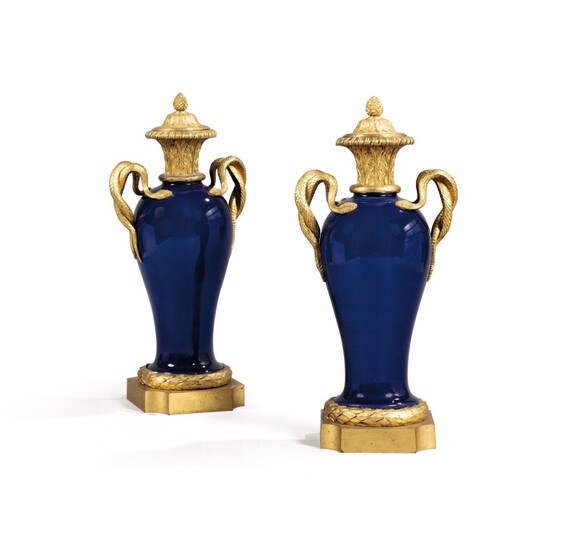 A pair of Louis XVI style gilt-bronze-mounted powder blue Chinese porcelain vases, late 19th century