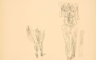 Alfred Hrdlicka | Anatomiestudie