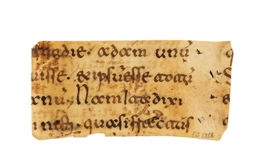 Ɵ Augustine, Tractatus in Johannem, in Latin, manuscript on parchment [Southern Italy, 11th century]