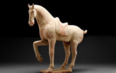 CHINESE TANG DYNASTY TERRACOTTA HORSE