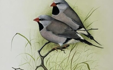 Eric Peake Wildlife Watercolor Painting Birds