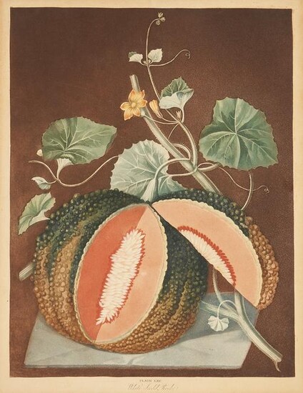 George Brookshaw White Seed'd Rock Melon Print