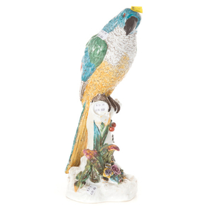 German porcelain parrot figure
