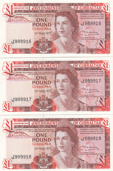 Gibraltar 1 Pound 1979 (3)