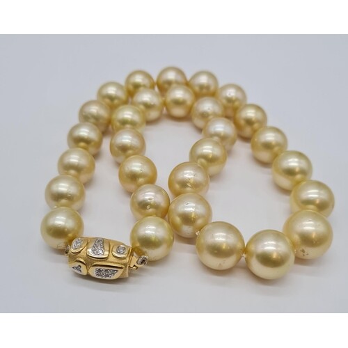 Golden south sea pearl necklace set in 14ct gold clasp, indi...
