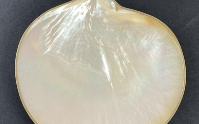 Mother of Pearl Shell Tray