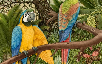 PETER LONGHURST (1922 - ) Blue and Yellow Macaws watercolour...