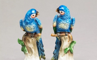 Porcelain couple Parrots. Sitzendorf.