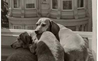 Ruth Bernhard (1905-2006), Two Dogs (1962)