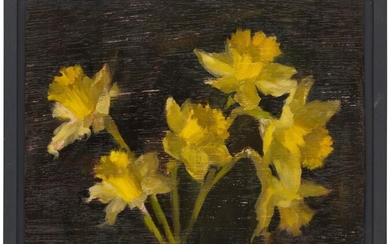 Sophie M Cook, 2020, Daffodils