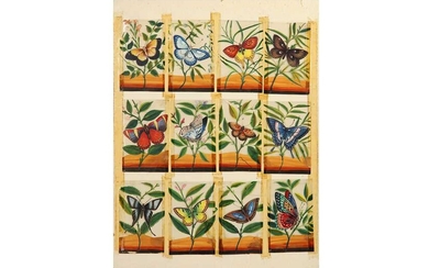 TWELVE STUDIES OF BUTTERFLIES ON MICA Possibly Kolkata (Calcutta), West Bengal, India, late 19th - early 20th century