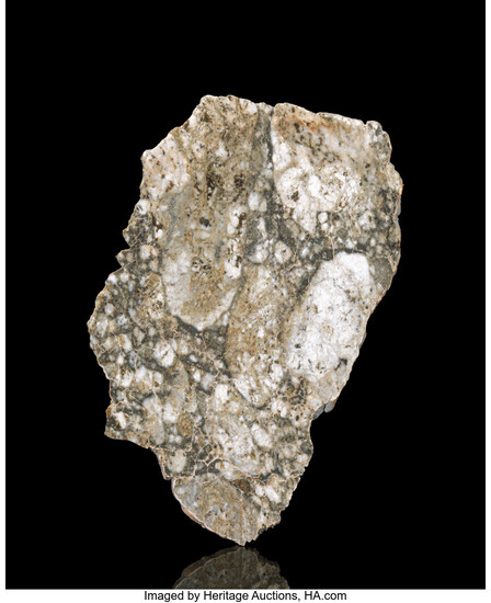 Touat 005 Lunar Meteorite Slice Lunar (feldspathic breccia) Adrar,...