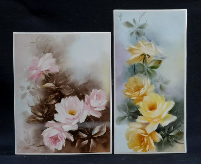 Two Floral Painted Porcelain Plaques