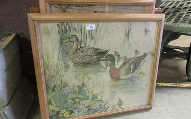 Two framed and glazed prints of ducks, one including a...