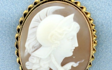 Vintage Cameo Pin in 14K Yellow Gold
