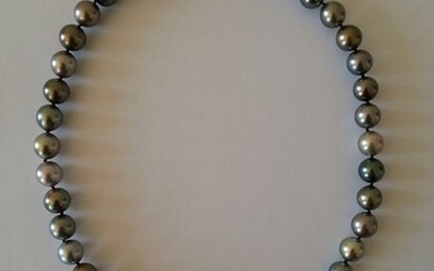 14 kt. Tahitian pearls - Necklace