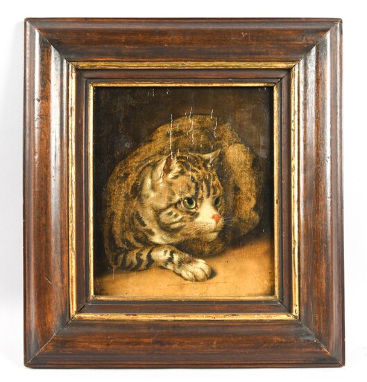 17TH C. OIL ON PANEL OLD MASTER CAT