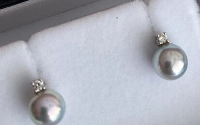 18 kt. Akoya pearls - Earrings