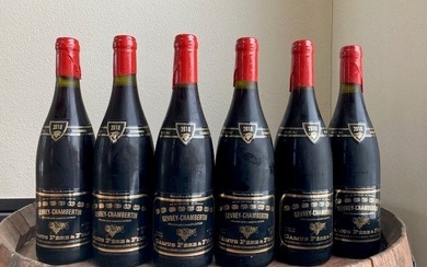 2018 Gevrey-Chambertin - Domaine Camus - Burgundy - 6 Bottles (0.75L)