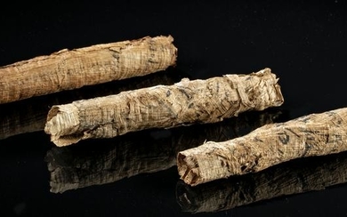 Rare Egyptian Ptolemaic Papyrus Scrolls (group of 3)