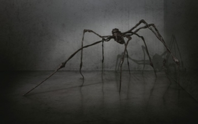 Louise Bourgeois (1911-2010), Spider