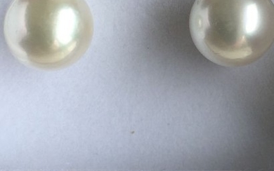 14 kt. South sea pearls, Yellow gold, 11,5 mm - Earrings