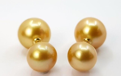 9x13mm Deep Golden South Sea Pearls - 18K Yellow Gold - Earrings
