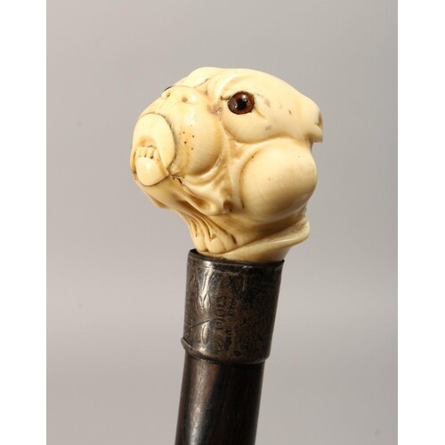 A 19TH CENTURY CARVED IVORY BULLDOG HANDLE WALKING CANE with...