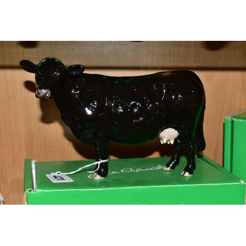 A BOXED LIMITED EDITION RARE BREED BLACK GALLOWAY COW, No 41...