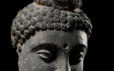 A LARGE GRAY SCHIST HEAD OF BUDDHA SHAKYAMUNI, ANCIENT REGION OF GANDHARA, 2ND-3RD CENTURY