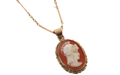 AN EARLY 20TH CENTURY 15 CARAT GOLD NECK-CHAIN, AND A MODERN 9 CARAT GOLD MOUNTED SHELL CAMEO PENDANT.