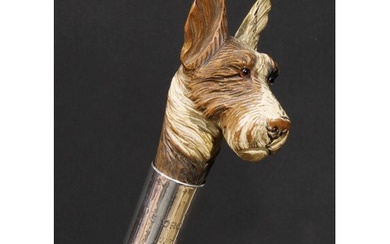 An early 20th century silver mounted walking stick, the pomm...