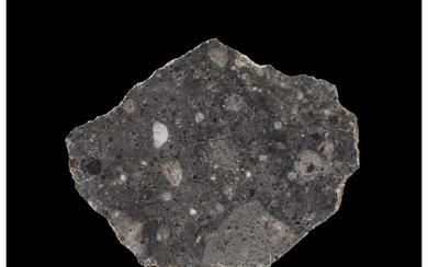 Bechar 006 Lunar Meteorite Slice Lunar (feldspathic breccia) Bechar,...