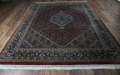 Bidjar - Carpet - 338 cm - 242 cm