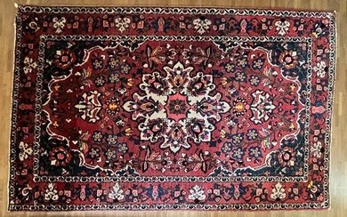Carpet - 220 cm - 137 cm