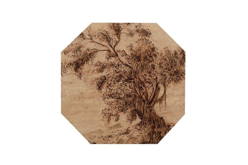 Ecole italienne du XVIIème siècle Etude d’arbre...